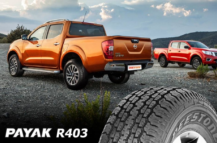 Deestone-Payak-R403-2