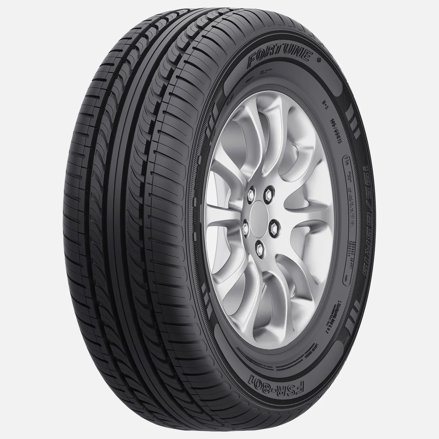 Fortune-FSR-801-1