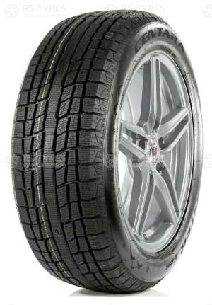 Centara Winter RX626 225/55 R19 99H