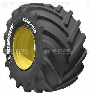 CereXbib 2 CFO+