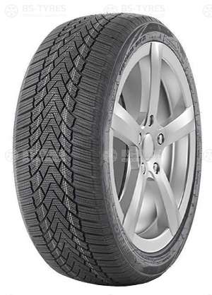 FronWay Icemaster I 225/55 R16 95H