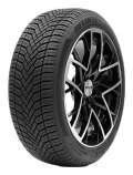 Delinte AW6