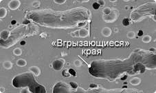 Микрошипы